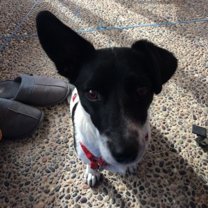 2018-02-15 09.55.43.jpg