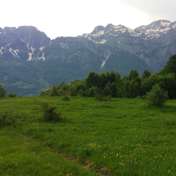 2018-06-01-15-34-42-2