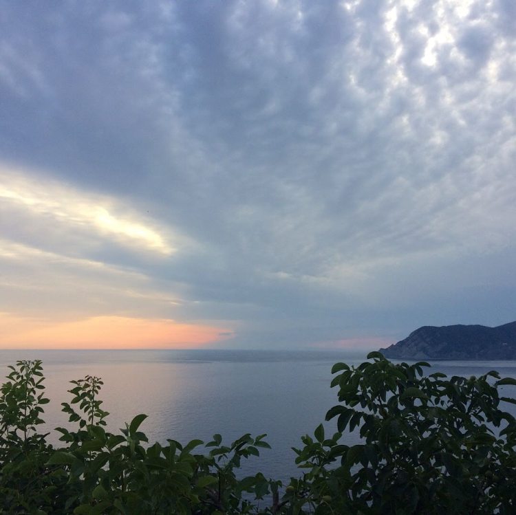 2018-07-14 20.00.18-2