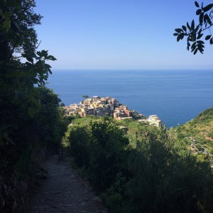 2018-07-15 10.31.06-2