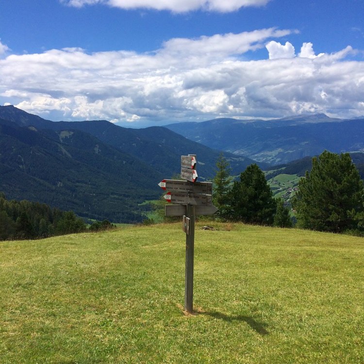 2018-07-22 14.01.28 (1)