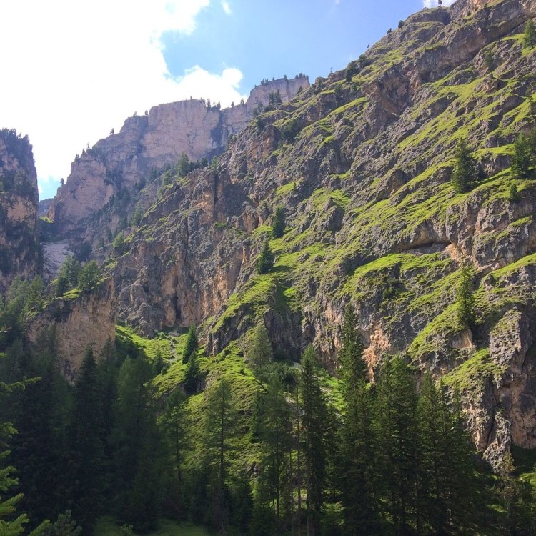 2018-07-23 15.53.12-2